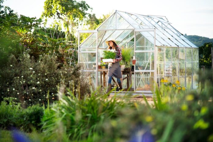 young-woman-working-glass-greenhouse_53876-46884
